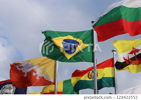 Brazilian flag fluttering in the wind 128422552