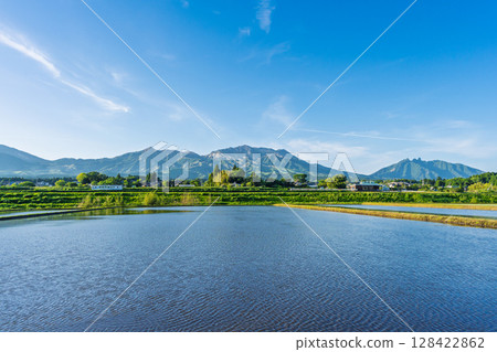 Rice field reflections against the backdrop of blue skies and Mount Aso (Aso, Minamiaso Village) Rice field reflections against the backdrop of blue skies and Mount Aso (Aso, Minamiaso Village) 128422862