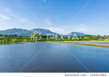 Rice field reflections against the backdrop of blue skies and Mount Aso (Aso, Minamiaso Village) Rice field reflections against the backdrop of blue skies and Mount Aso (Aso, Minamiaso Village) 128422863