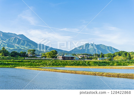 Rice field reflections against the backdrop of blue skies and Mount Aso (Aso, Minamiaso Village) 128422868