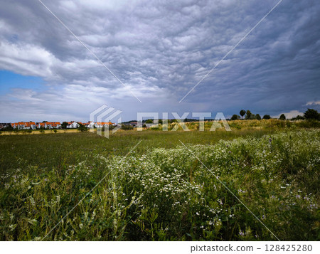 Wildflower Meadow With White Daisies Under Dramatic Sky: Blooming Field Near Village With Storm Clouds In The Background 128425280