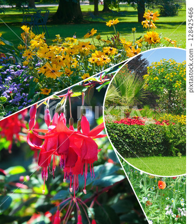 Flowerbeds in gardens and parks. Collage. Flowerbeds in gardens and parks. Collage. 128425466