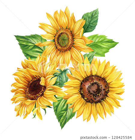 Watercolor floral bouquet. Three sunflowers with fresh green leaves watercolor illustration top view, floral illustration 128425584