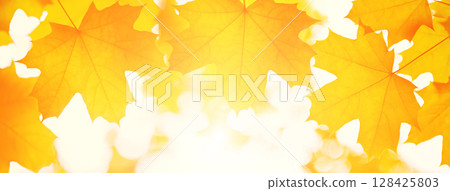 Tree leaf. 128425803