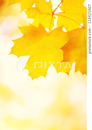 Tree leaf. 128425807