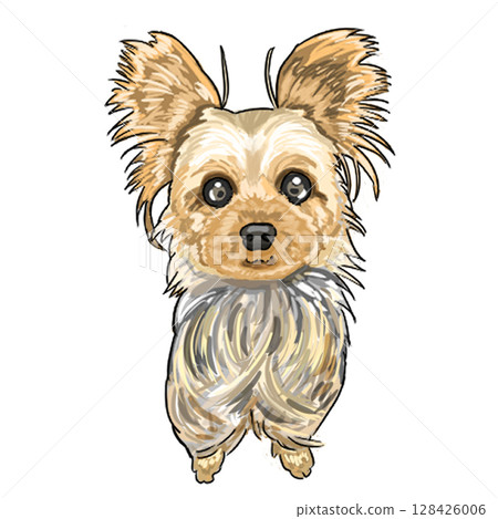 Yorkshire terrier  128426006