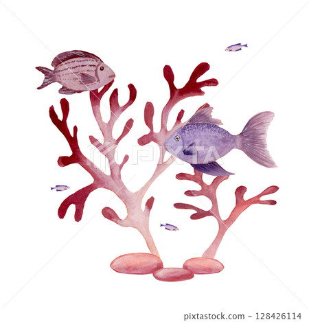 Watercolor composition shadow of pink fantasy branches of seaweed and different dish fish Watercolor composition shadow of pink fantasy branches of seaweed and different dish fish 128426114
