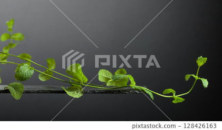 Sprigs of mint on a black background. 128426163
