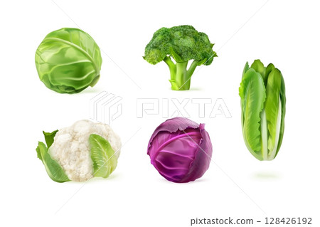 Realistic cabbages. 3d white cabbage isolated set, green romaine lettuce lettuce cauliflower kale salad leaf broccoli vegetable vegan farm kitchen food, exact vector illustration 128426192