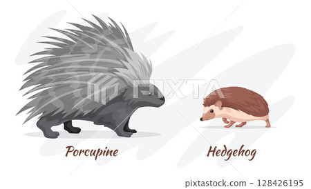 Porcupine and hedgehog. Prickly wild forest animals cartoon characters, cute hedgehogs vs porcupines funny baby animal autumn fall nature wildlife, neat vector illustration 128426195