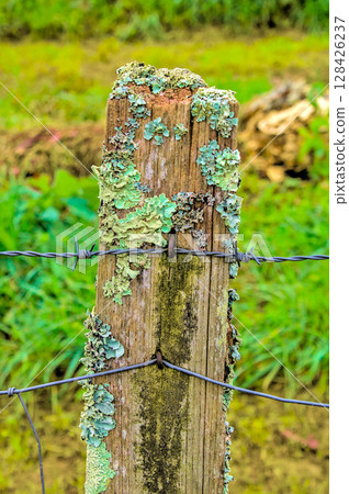 fence post 128426237