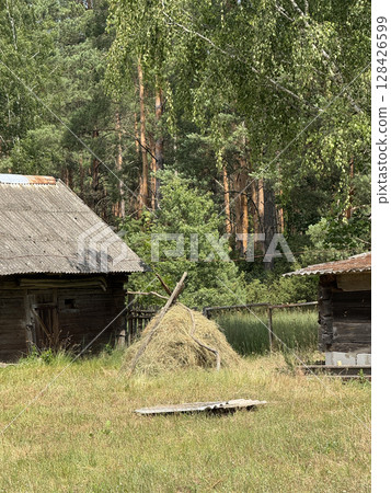 A haystack between two wooden barns. Against a backdrop of pine forest. 128426599