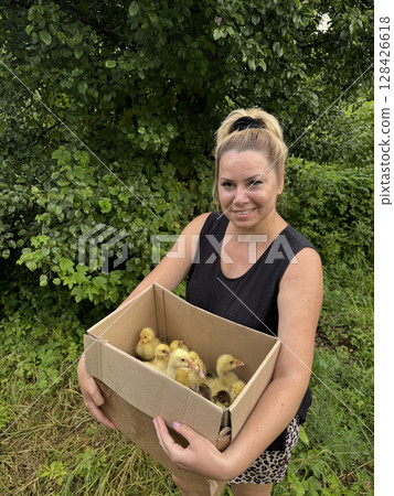 A woman holds a cardboard box with ducklings. Backyard poultry farming. 128426618