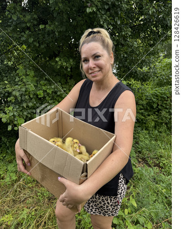 A woman holds a cardboard box with ducklings. Backyard poultry farming. A woman holds a cardboard box with ducklings. Backyard poultry farming. 128426619