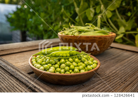 Freshly harvested green peas Freshly harvested green peas 128426641