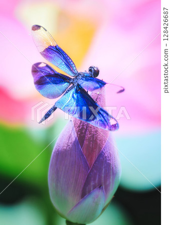 Flying to a dream world Flying to a dream world 128426687