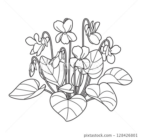 Flowering Violet Bunch Outline Drawing 128426801