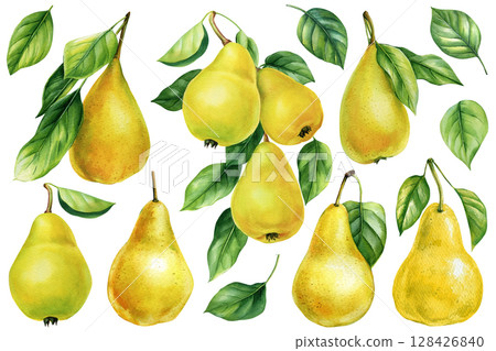 Watercolor yellow pear fruit set with green leaves hand painted botanical illustration for kitchen decor and food packaging design 128426840