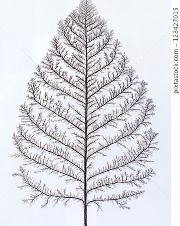 Elegant Bare Tree Branch Winter Nature Minimalist Design Graphic art line twig cold white clean 128427015
