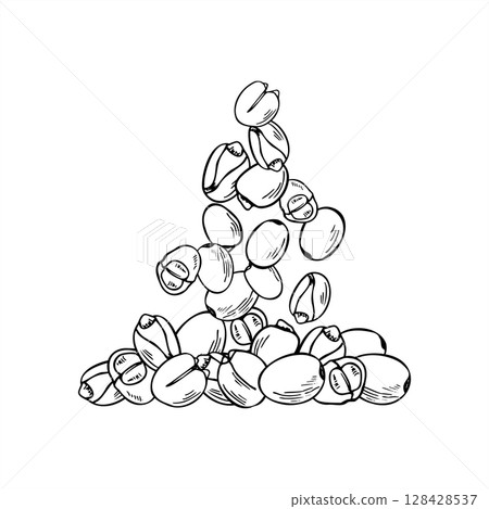 Falling beans into pile vector monochrome hand painted illustration. Meatless healthy food. Lotus nuts or lupin beans graphic sketch for packaging healthy snack, protein product label, nutrition blog. 128428537
