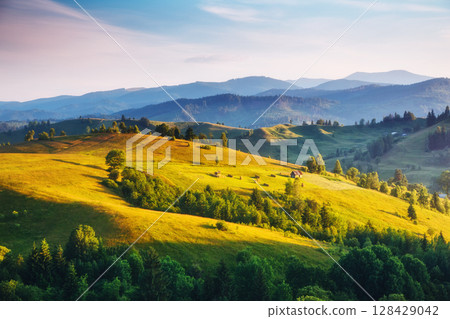 Great view of the alpine valley. Location place Carpathian, Ukraine, Europe. Great view of the alpine valley. Location place Carpathian, Ukraine, Europe. 128429042