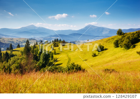 Great view of the alpine valley. Location place Carpathian, Ukraine, Europe. 128429107