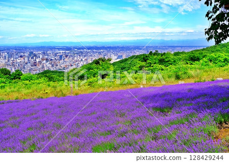 Scenery of Sapporo 128429244