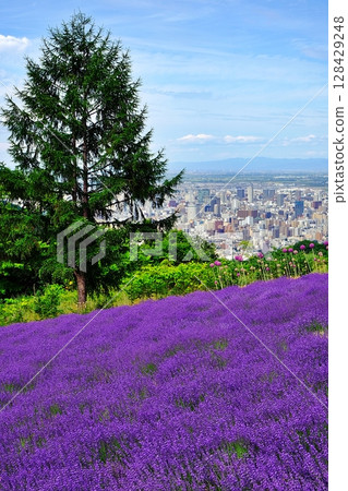 幌美峠風景（北海道札幌市中央區） 128429248