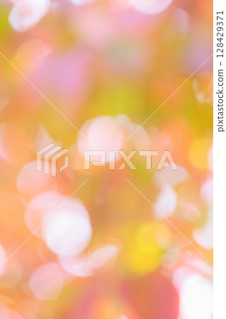 Out-of-focus dogwood leaves that have begun to color [Bokeh] [Blur] 128429371