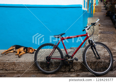 Bicycle and dog at the beautiful colonial town of Concepcion in Antioquia, Colombia. 128429377