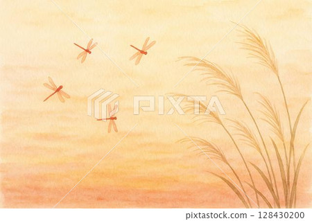 Sunset, Red dragonfly, Japanese silver grass Sunset, Red dragonfly, Japanese silver grass 128430200