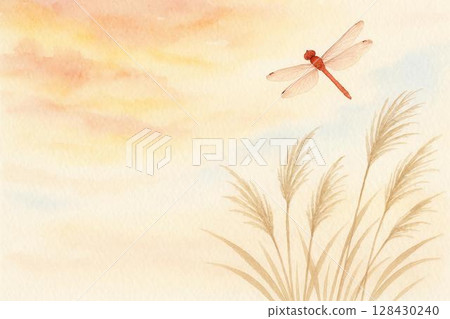 夕陽、紅蜻蜓、紫芒 128430240