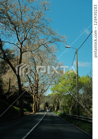 Scenic coastal road with view of Cabo da Roca lighthouse in Sintra Portugal curving highway through natural cliffs overlooking Atlantic Ocean under clear blue sky 128430283