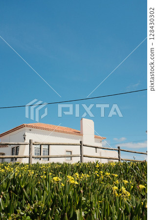 Traditional portuguese white house with red tiled roof in spring yellow wildflower field under bright blue sky in countryside near cabo da roca sintra portugal rural travel architecture. High quality Traditional portuguese white house with red tiled roof in spring yellow wildflower field under bright blue sky in countryside near cabo da roca sintra portugal rural travel architecture. High quality 128430302