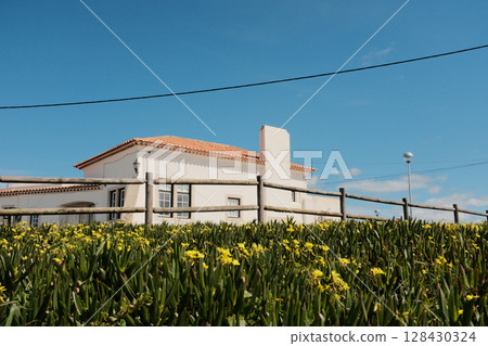 Traditional portuguese white house with red tiled roof in spring yellow wildflower field under bright blue sky in countryside near cabo da roca sintra portugal rural travel architecture. High quality 128430324