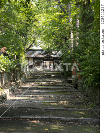 The approach to the shrine surrounded by fresh greenery 128431237