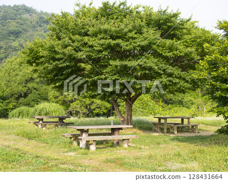 Mountain hiking trail lined with picnic tables Mountain hiking trail lined with picnic tables 128431664