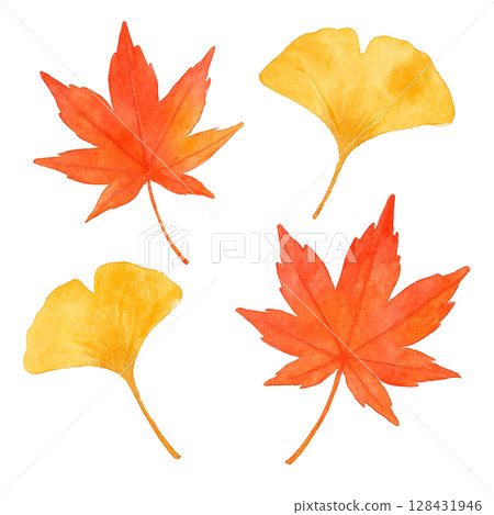 楓樹與銀杏的秋葉水彩插圖 128431946