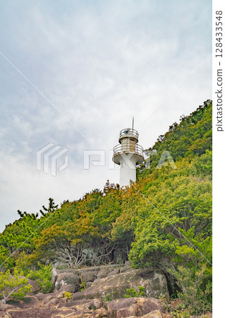 Columnar joints at Tategasaki, Kumano City, Mie Prefecture 128433548