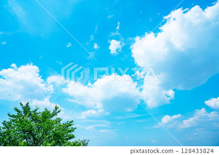 Blue sky, clouds and grove 128433824
