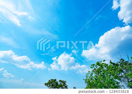 Blue sky, clouds and grove Blue sky, clouds and grove 128433828