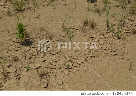 開放空間 128434374