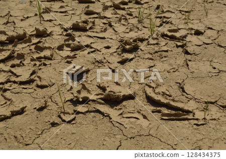 開放空間 128434375