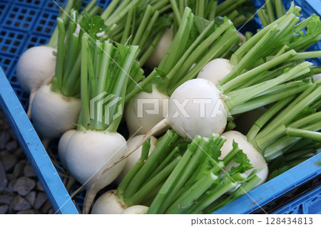 A lot of harvested turnips 128434813