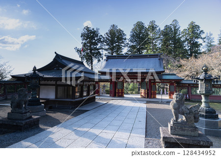 春天的志波彥神社與鹽釜神社 128434952