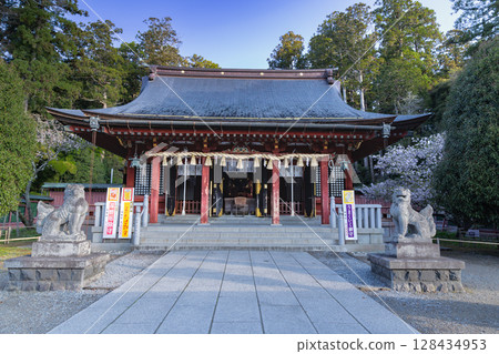 Shiwahiko Shrine and Shiogama Shrine in Spring Shiwahiko Shrine and Shiogama Shrine in Spring 128434953