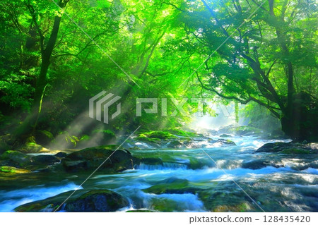 Kikuchi Valley with beautiful rays of light (Kikuchi City) 128435420