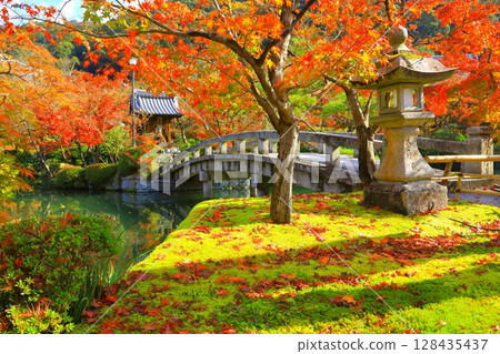 Eikando in autumn (Kyoto City) 128435437