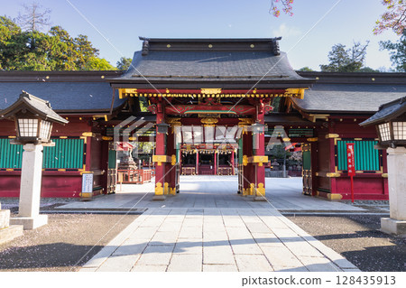 A flurry of falling cherry blossoms at Shiogama Shrine's Karamon Gate and corridor 128435913