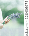 The hands of a woman who licks lavender 128436975